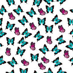illustration of a colorful butterfly
