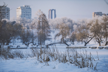 Winter days in Bucharest
