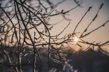 Sunset in a winter day