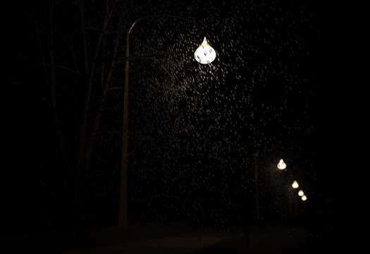 Snowfall in valley of lamp at night 3d illustration