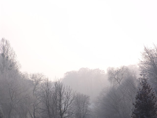 Obraz na płótnie Canvas winter, fog, weather, tree, landscape, nature, outdoor, scenic, mist, snow, park, forest, cold, foggy, silhouette, misty, spooky, scene, natural, dark, background, white, fantasy, season, frost, branc