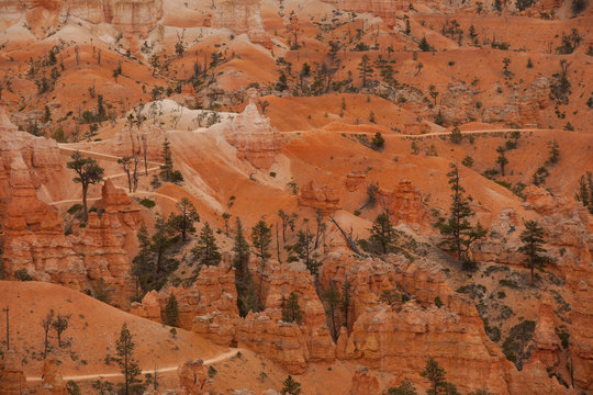 I sentieri tra le guglie rosse del Bryce Canyon