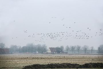 nordsee