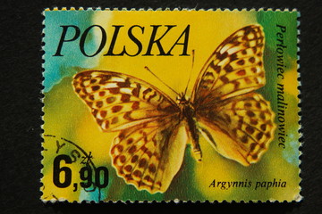 Fototapeta na wymiar Polish stamps - butterfly species
