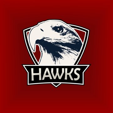Professional sports logo, emblem template with the image of the hawk, eagle, falcon