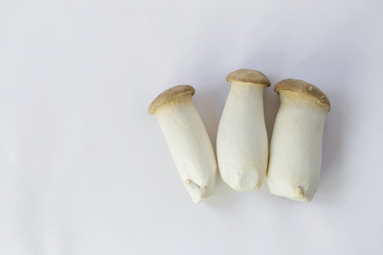 Fresh mushroom on white background