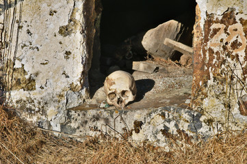 A human skull at the enter of the crypt. City of the dead: a necropolis near the village of Dargavs, North Ossetia - Alania, Russia - 134719440
