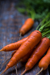 Carrots in a bundle on wooden background