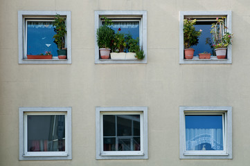 Gefährliche Blumenstöcke am Fensterbrett