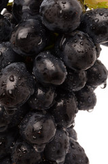 Juicy Grapes