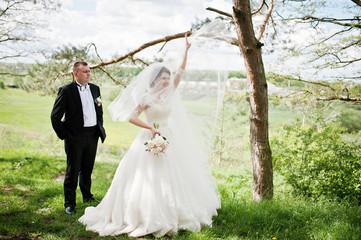 Elegance wedding couple at their day background pine forest. Hap