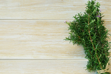 Bunch of fresh rosemary with purple flowers on a white background. Aromatic and medical herbs concept.Copy space