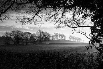 Countryside Black and White