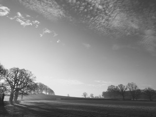 Morning Mist Black and White