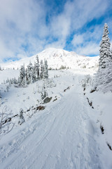 Fototapeta na wymiar a path cover with snow in paradise area,scenic view of mt Rainier,washington,usa.