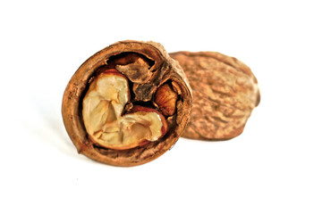 Closeup of walnuts on a white background