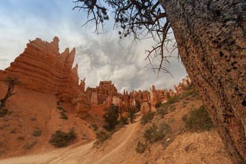 Veduta del Bryce Canyon