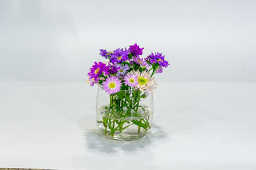 flower in glass pot on white background.