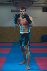 Fototapeta na wymiar Boxer posing facing camera from front