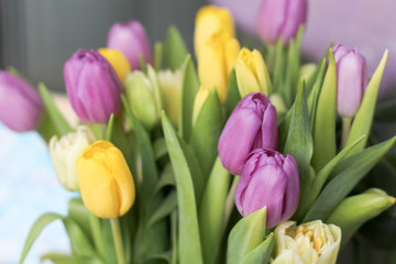 Fototapeta premium bouquet of tulips