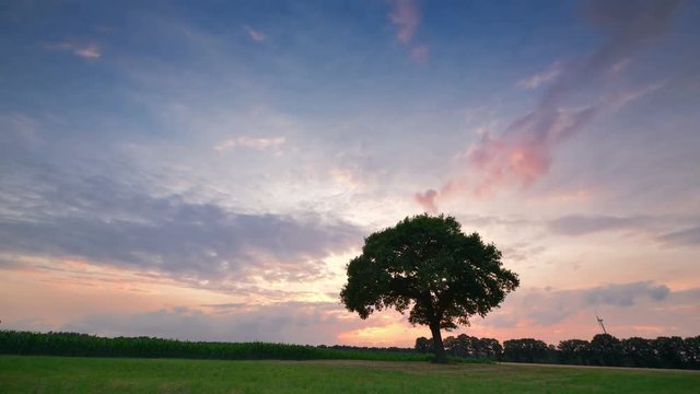 sunset clouds and tree time lapse quick 4k UHD 11671
