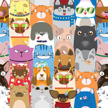colorful pattern with funny cats and dogs