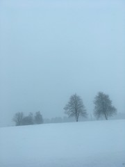 Fototapeta na wymiar Nature in winter