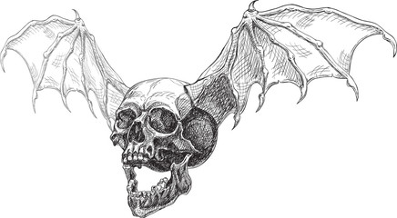 Flying skull side and wings