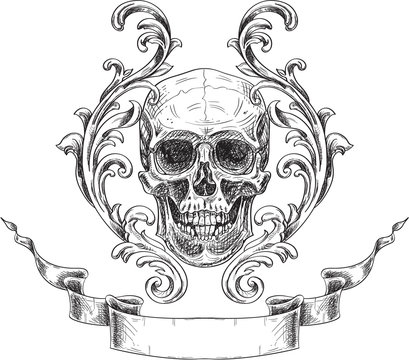 Acanthus and skull