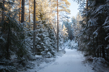 Fototapete bei efototapeten.de bestellen   
