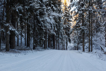 Winter, snow covered road in forest at sunset