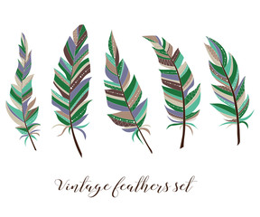 Vintage feathers set. Five elegant feathers of boho style on a white background.