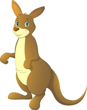 Vector illustration, adult kangaroo