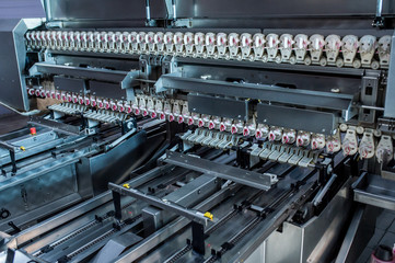 Fresh and raw chicken eggs on a conveyor belt, being moved to th
