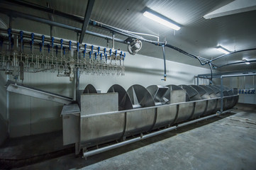 poultry processing plant