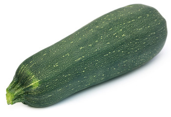 Fresh Squash