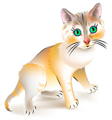 Fototapeta na wymiar Illustration of little red frightened kitten on white background, vector cartoon image.