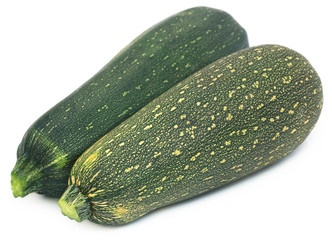 Fresh Squash