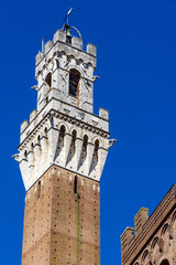 Obraz premium tower of Mangia in the historic center of Siena, tuscany, italy