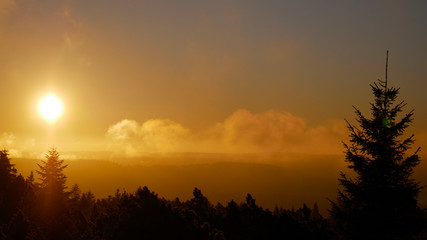 Obraz premium Sonnenaufgang im Schwarzwald