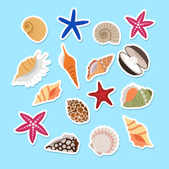 Sea shells cute stickers, vector set on light blue background