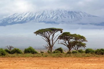 Papier Peint photo autocollant Kilimandjaro le Mont Kilimanjaro