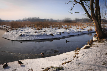 Zima nad rzeką © Mariusz Stoszewski