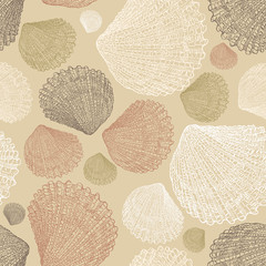 pattern of the drawn seashells