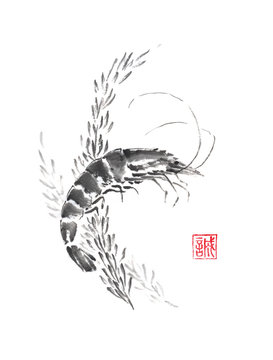 Shrimp and weed Japanese style original sumi-e ink painting.