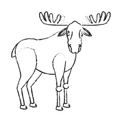 deer cartoon icon over white background. vector illustration
