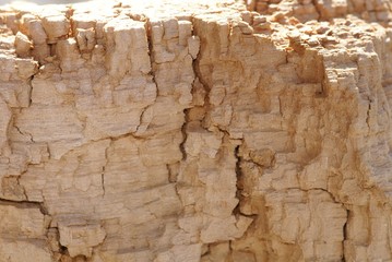 Holz