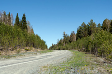 Fototapeta na wymiar Perspective view of road, rising to slope in forest in spring.