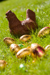 poule et oeufs en chocolat de Pâques dans l'herbe