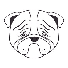 cute dog isolated icon vector illustration design
